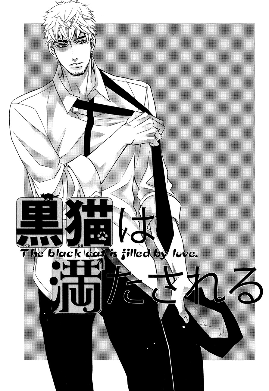 Kuroneko wa Shippo de Amaeru Chapter 3 page 2 - Chapter 3
