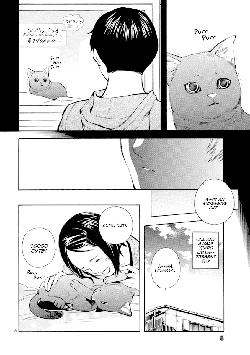 Kurosagi Chapter 131 page 7 - Chapter 131: Pet Trick (First Part)
