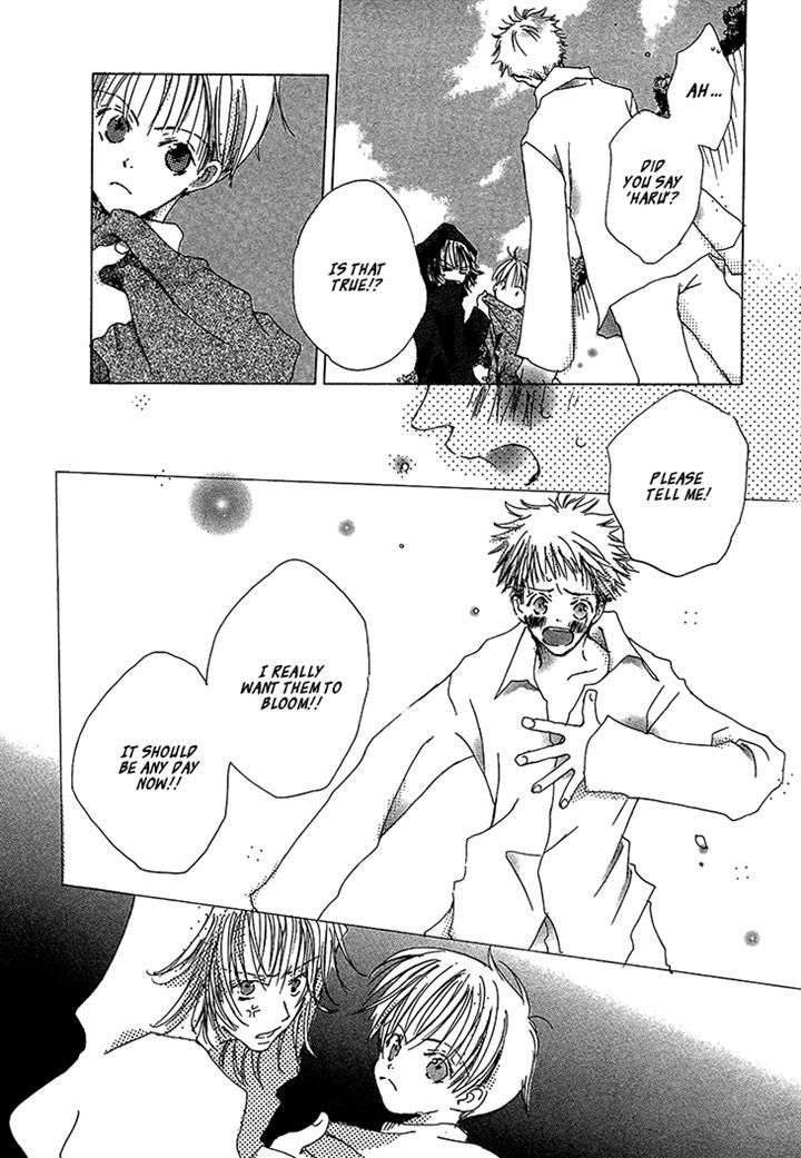 Kusa no Kanmuri Hoshi no Kanmuri Chapter 1 page 11 - Chapter 1 : ~The ghost of the sakura tree~