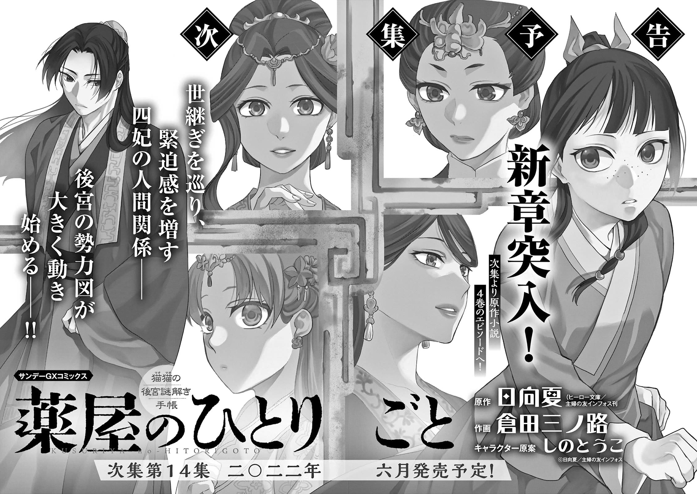 Kusuriya no Hitorigoto - Maomao no Koukyuu Nazotoki Techou Chapter 53.5 page 3 - Chapter 53.5: Extras