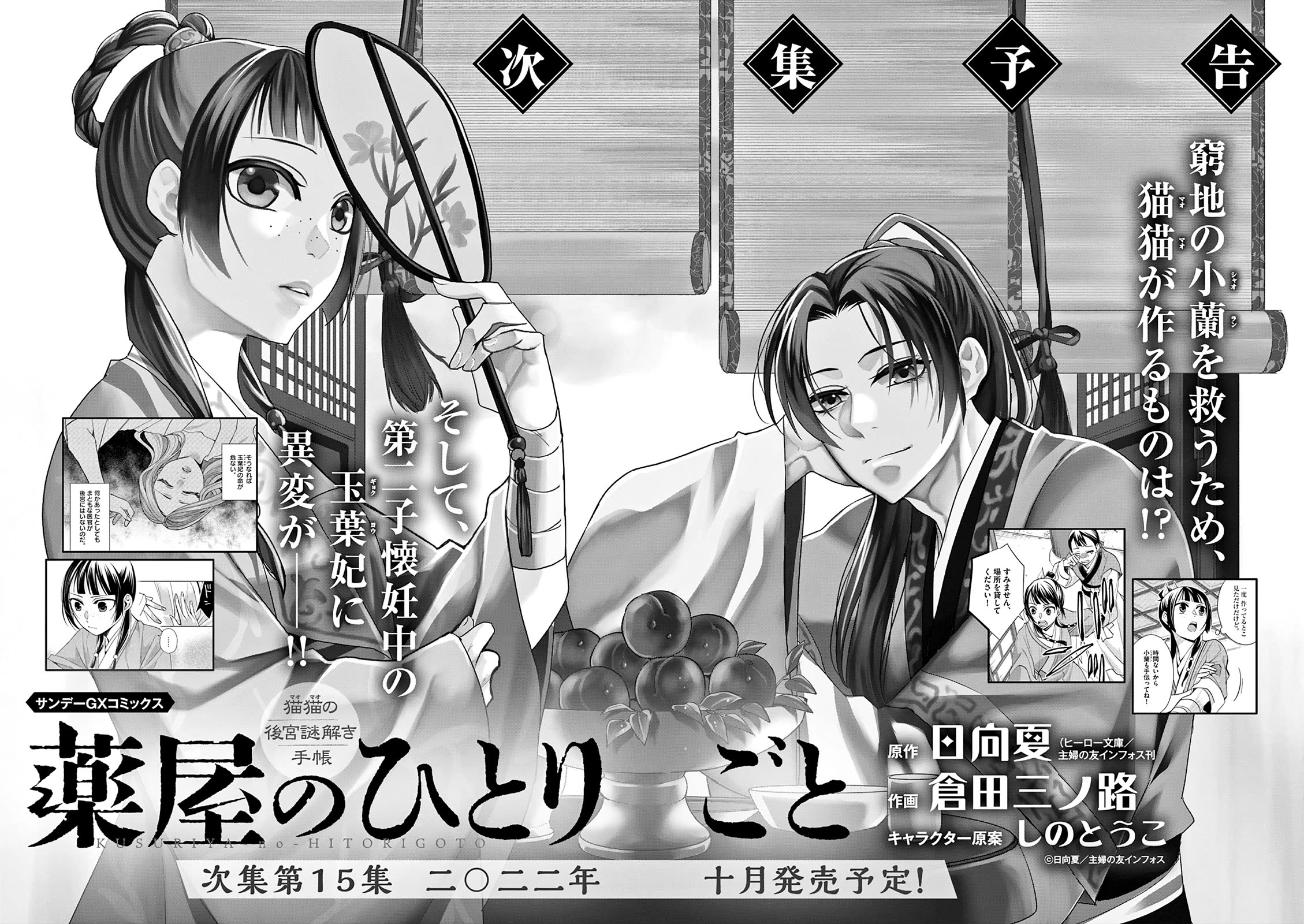 Kusuriya no Hitorigoto - Maomao no Koukyuu Nazotoki Techou Chapter 57.5 page 2 - Chapter 57.5: Extras