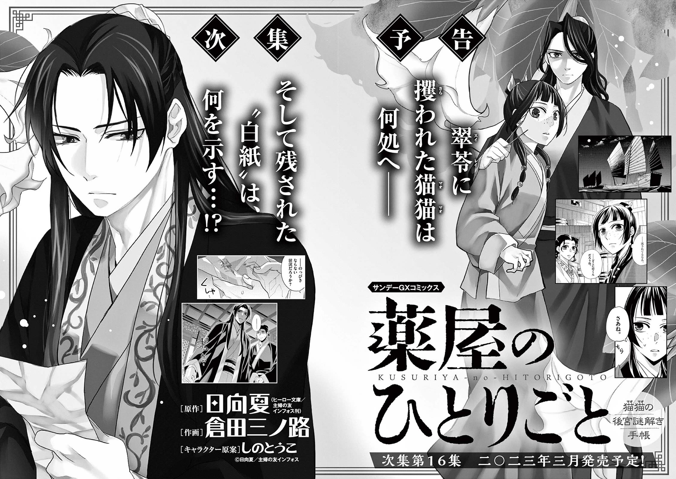 Kusuriya no Hitorigoto - Maomao no Koukyuu Nazotoki Techou Chapter 61.5 page 3 - Chapter 61.5: Extras