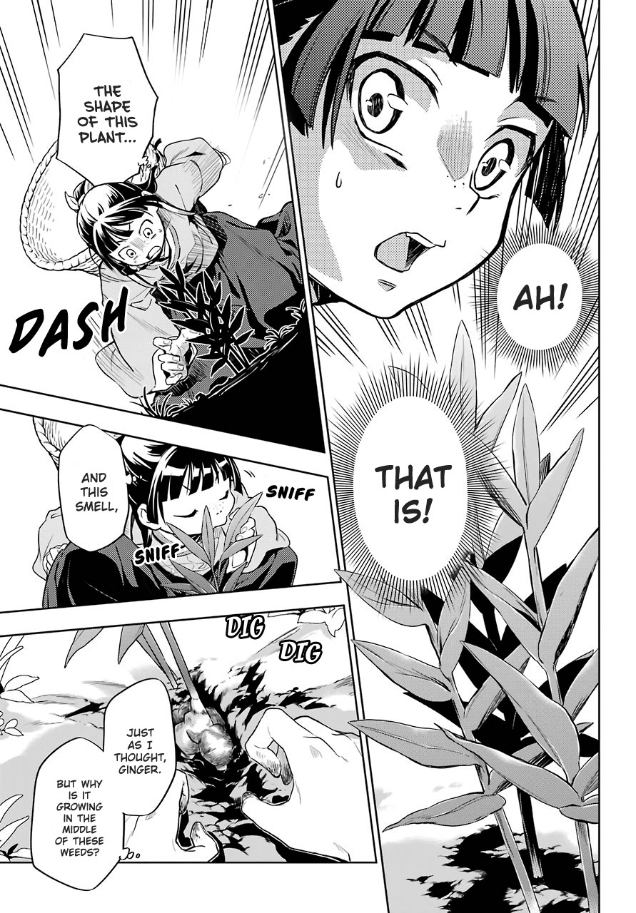 Kusuriya no Hitorigoto Chapter 30 page 17 - Chapter 30: Sui Rei