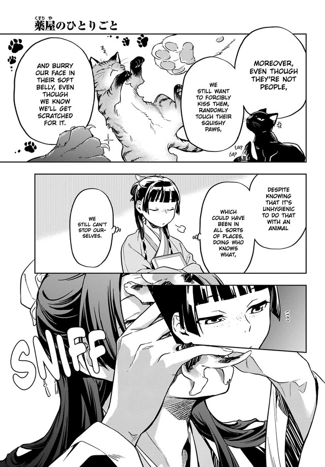 Kusuriya no Hitorigoto Chapter 42.2 page 12 - Chapter 42.2: Cat (Conclusion)