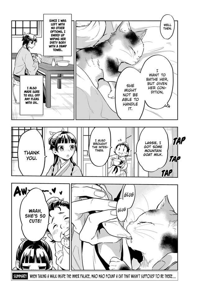 Kusuriya no Hitorigoto Chapter 42.2 page 3 - Chapter 42.2: Cat (Conclusion)