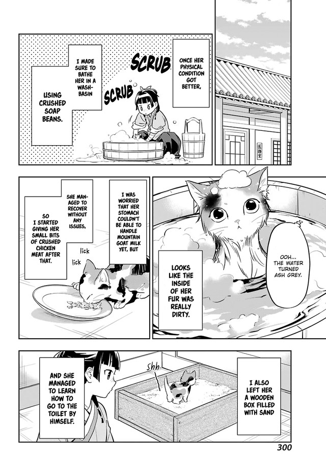 Kusuriya no Hitorigoto Chapter 42.2 page 5 - Chapter 42.2: Cat (Conclusion)