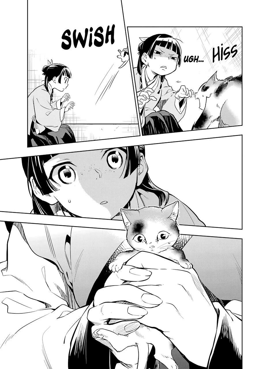 Kusuriya no Hitorigoto Chapter 42 page 11 - Chapter 42: Cat (Part 1)