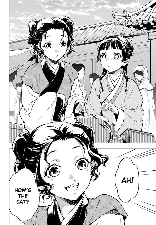Kusuriya no Hitorigoto Chapter 43.1 page 14 - Chapter 43.1