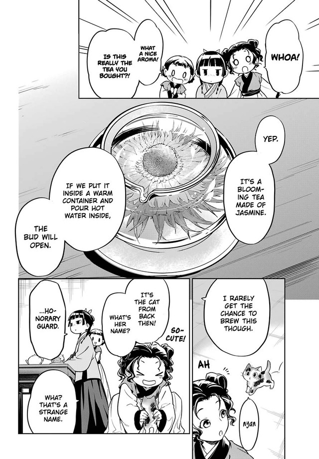 Kusuriya no Hitorigoto Chapter 43.1 page 16 - Chapter 43.1