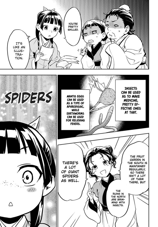 Kusuriya no Hitorigoto Chapter 43.1 page 21 - Chapter 43.1