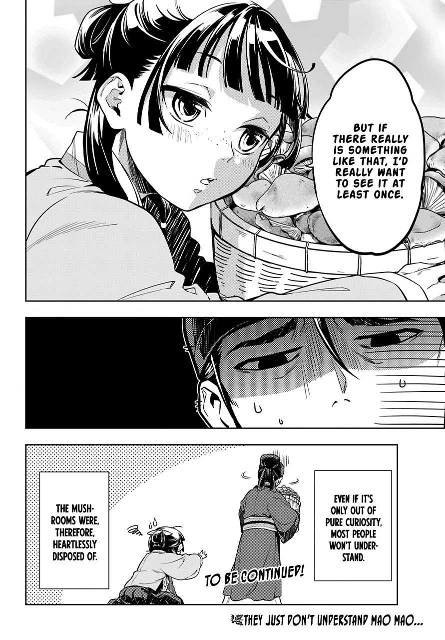 Kusuriya no Hitorigoto Chapter 45.2 page 14 - Chapter 45.2