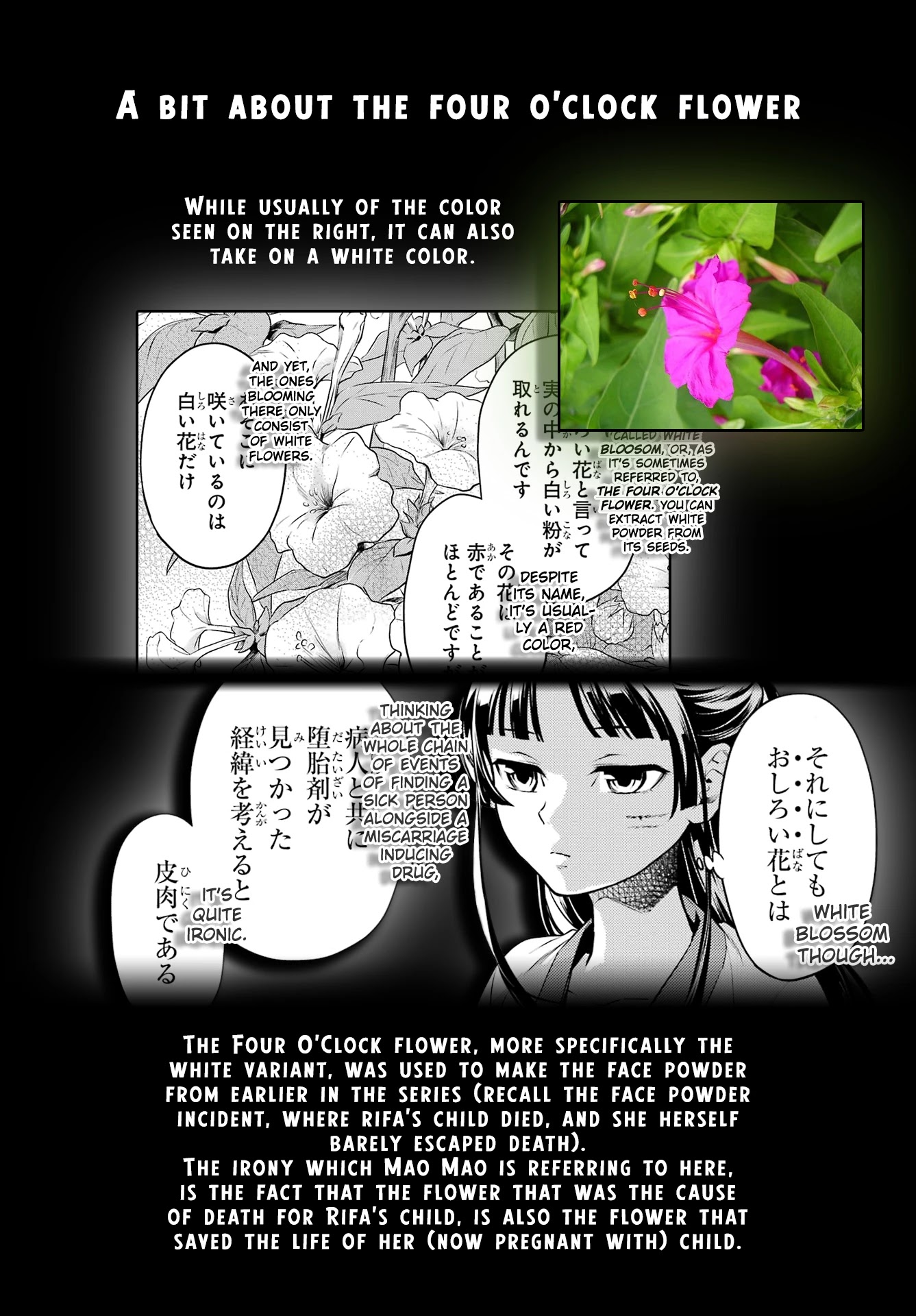 Kusuriya no Hitorigoto Chapter 52.2 page 19 - Chapter 52.2: Third Time's The Charm (Part 4)