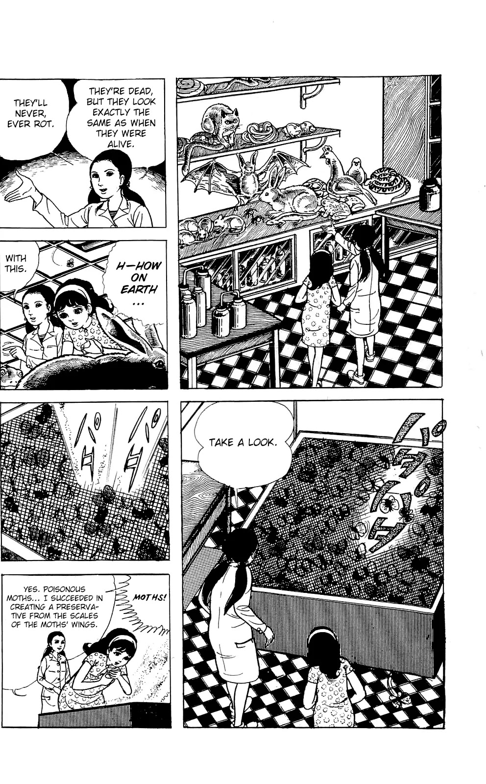 Kyoufu Chapter 1.3 page 6 - Vol.1 Chapter 3: The Poison Moth