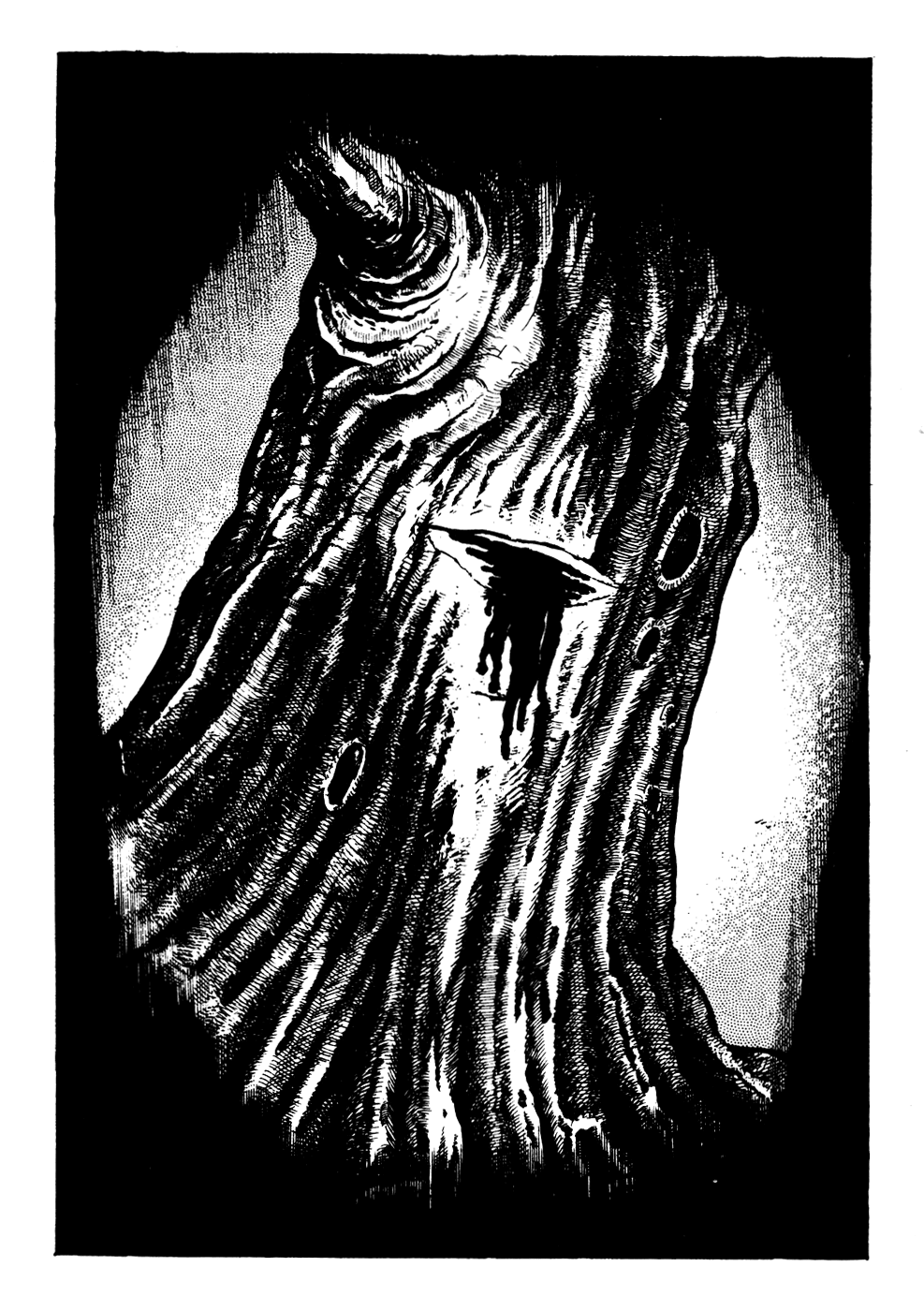 Kyoufu Chapter 2.4 page 14 - Vol.2 Chapter 4: Dead Tree