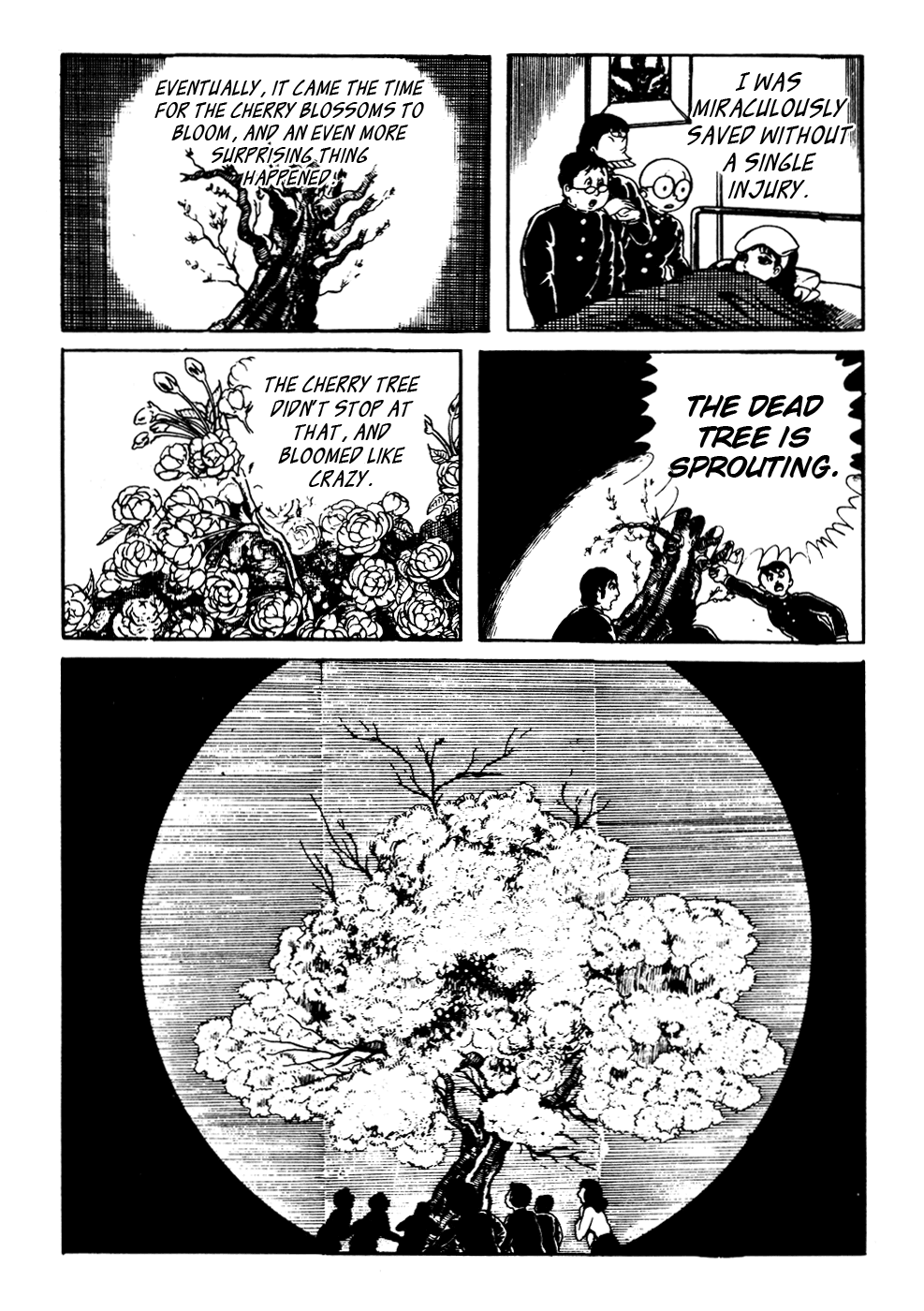 Kyoufu Chapter 2.4 page 21 - Vol.2 Chapter 4: Dead Tree