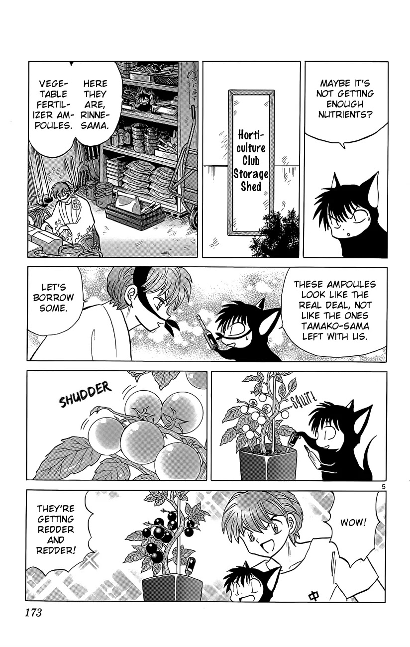 Kyoukai no Rinne Chapter 198 page 5 - Chapter 198: A Cherry Tomato Buffet!