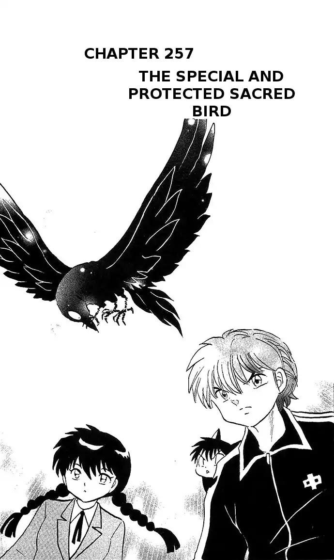Kyoukai no Rinne Chapter 257 page 1 - Chapter 257: The Special And Protected Sacred Bird