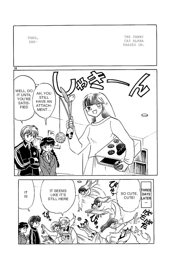 Kyoukai no Rinne Chapter 321 page 18 - Chapter 321: The Cat Cafe's Mystery