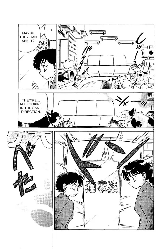 Kyoukai no Rinne Chapter 321 page 3 - Chapter 321: The Cat Cafe's Mystery