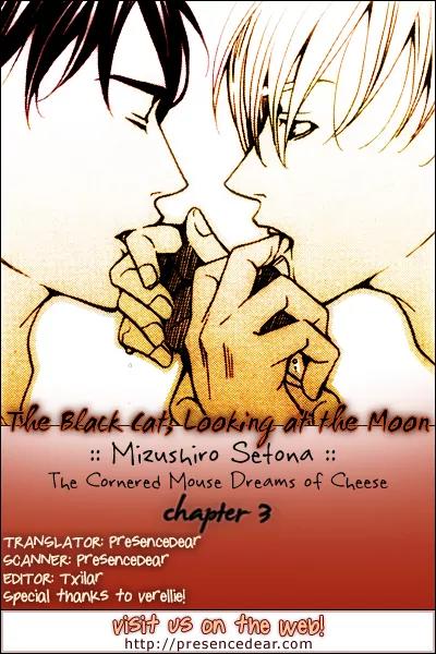Kyuuso wa Cheese no Yume o Miru Chapter 3 page 2 - Chapter 3: The Black Cat, Looking at the Moon