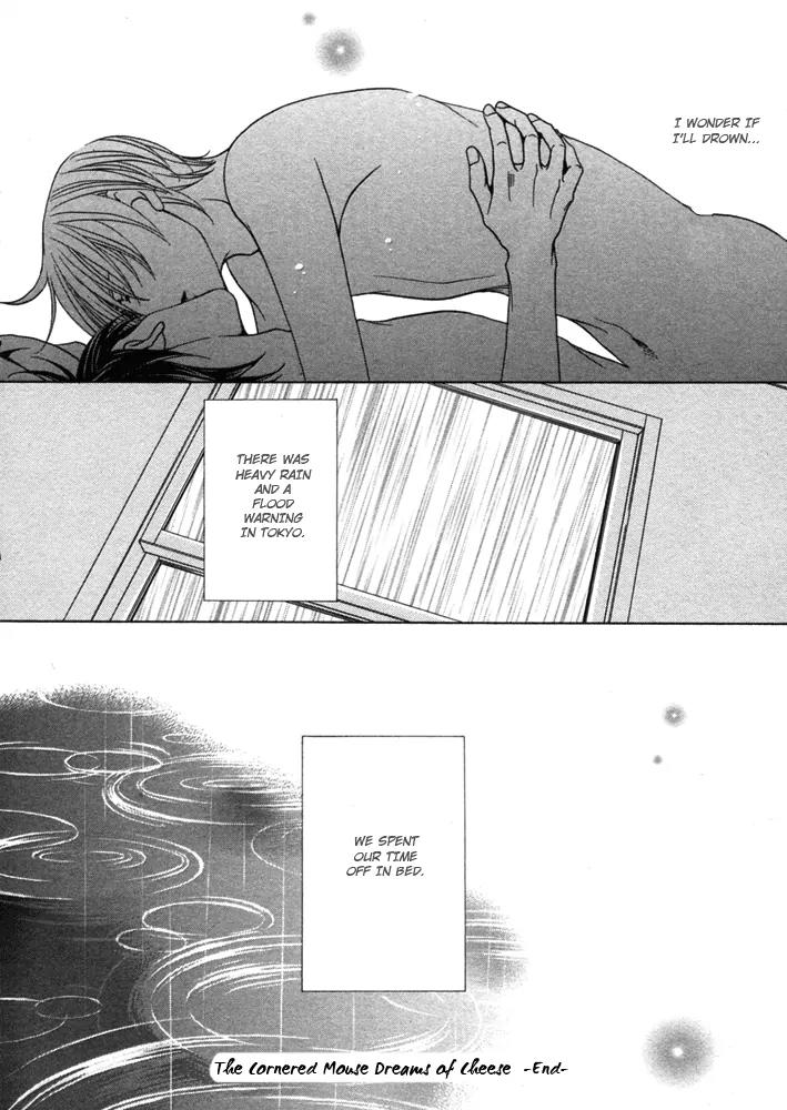 Kyuuso wa Cheese no Yume o Miru Chapter 5 page 61 - Chapter 5: The Cornered Mouse Dreams Of Cheese