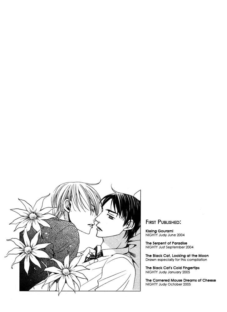 Kyuuso wa Cheese no Yume o Miru Chapter 5 page 62 - Chapter 5: The Cornered Mouse Dreams Of Cheese