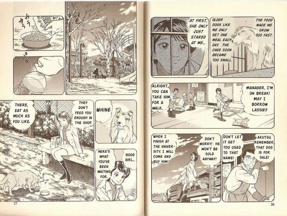 Lassie Chapter 1 page 13 - Chapter 1