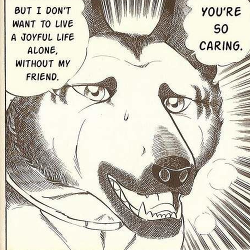 Lassie Chapter 7 cover
