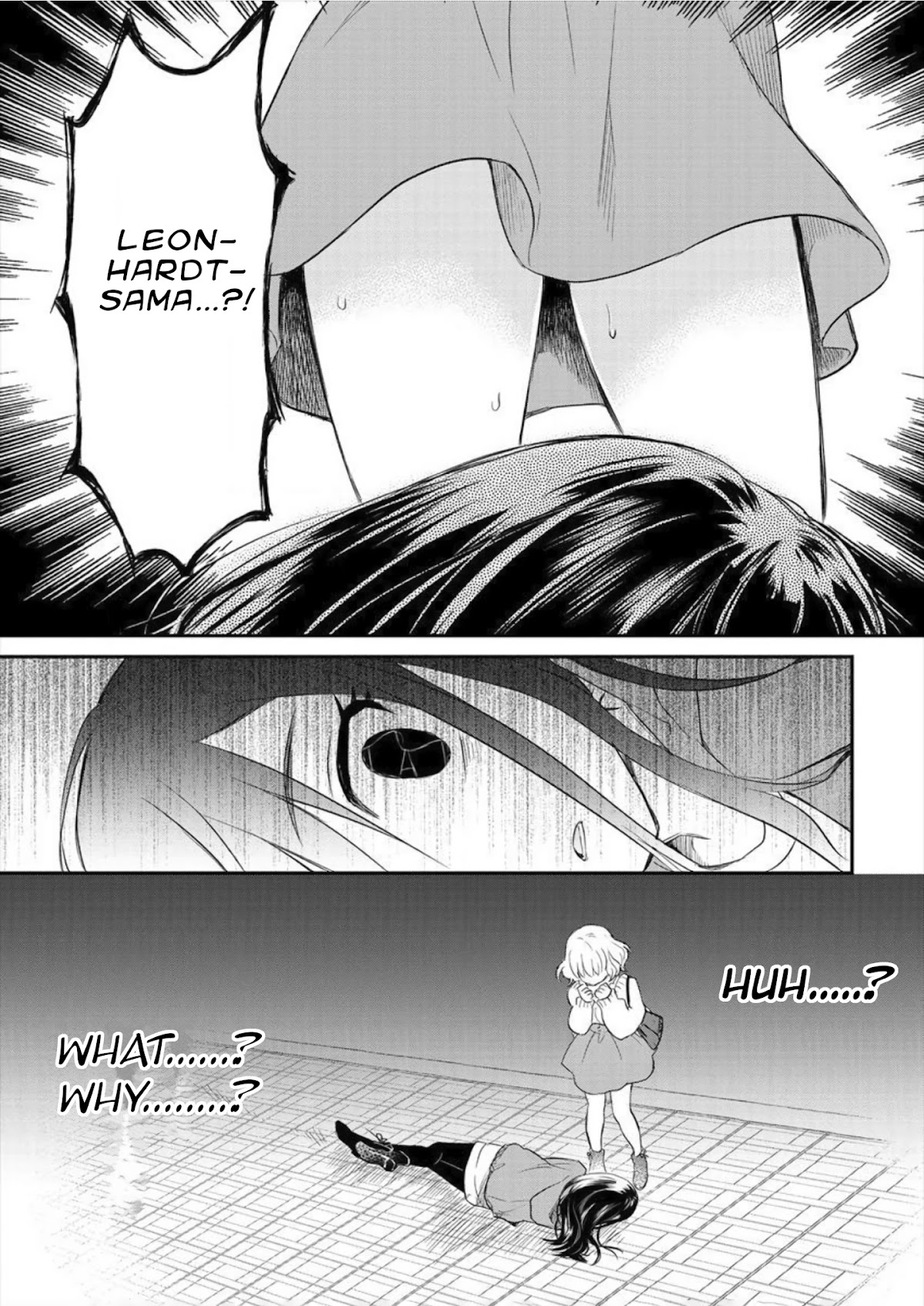 Leonhardt-sama Is A Girl Chapter 2 page 17 - Chapter 2: Unexpected Low-angle.