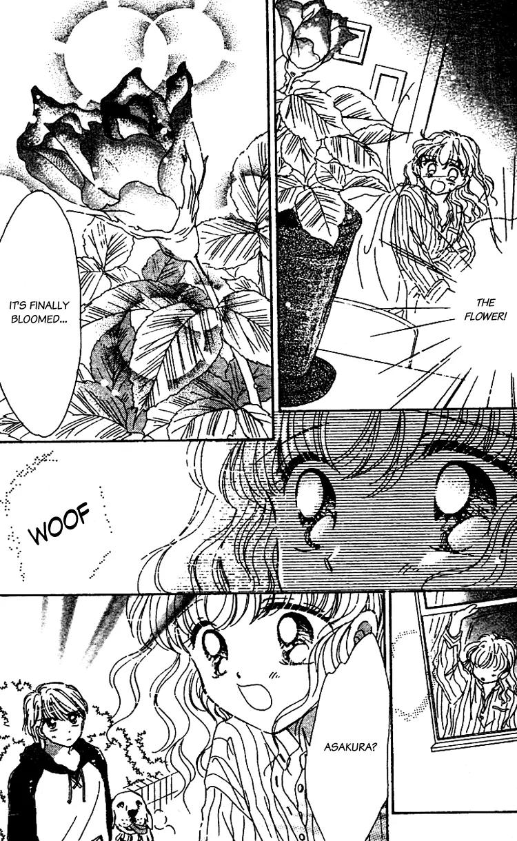 Les Mille Fleurs Chapter 13 page 13 - Chapter 13: A Dream Bouquet