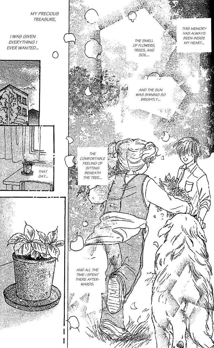 Les Mille Fleurs Chapter 3 page 20 - Chapter 3: I want to be a Sunflower