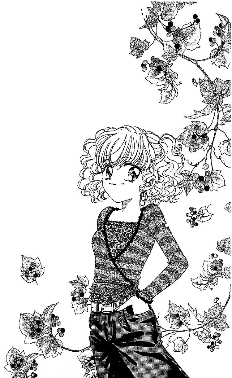 Les Mille Fleurs Chapter 5 page 2 - Chapter 5: The Breeze of the Autumn Wind, Cosmos