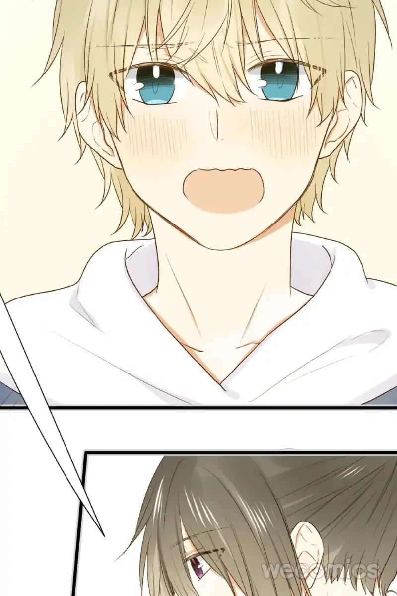 Let's Have a Baby Dragon Chapter 29 page 38 - Chapter 29