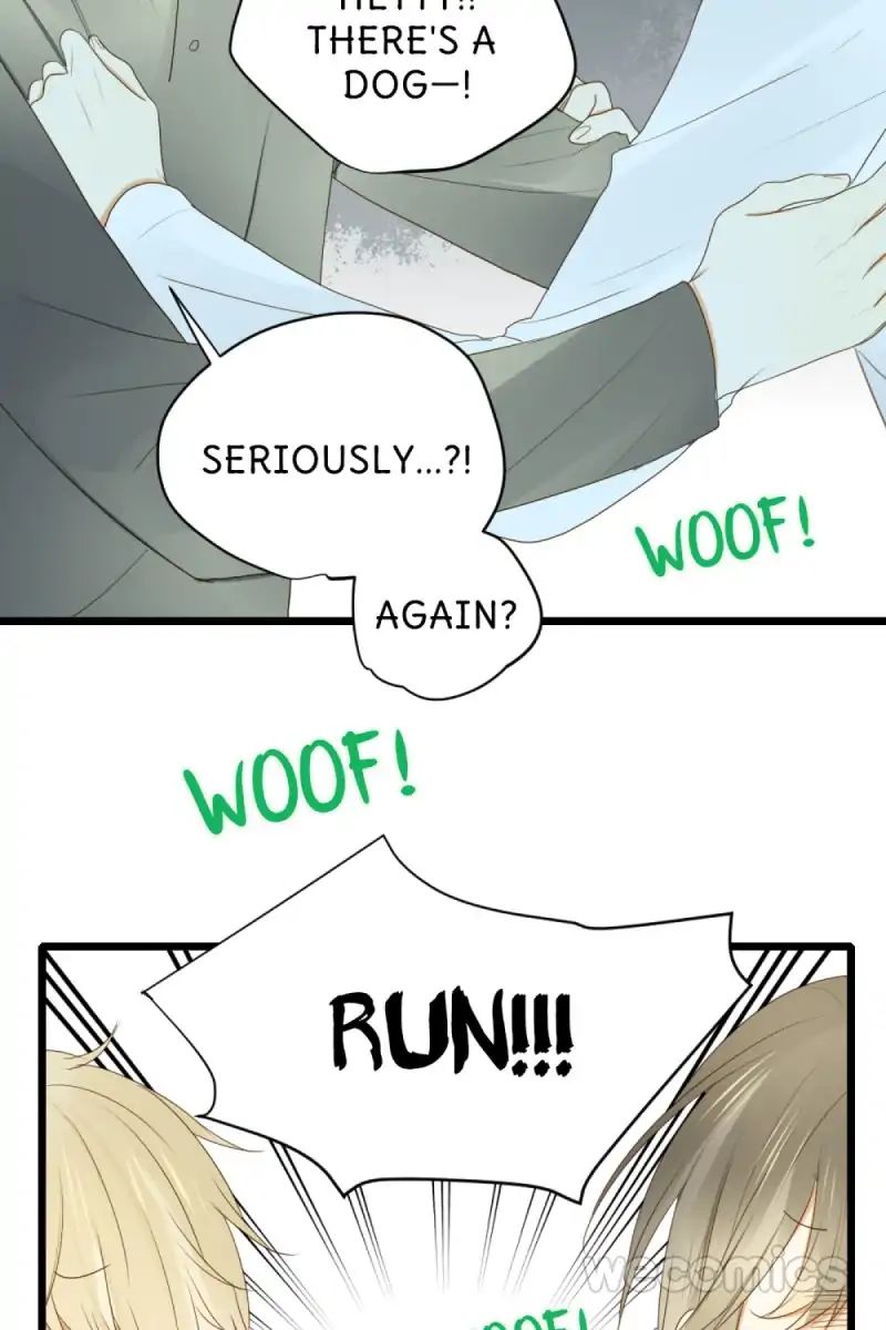 Let's Have a Baby Dragon Chapter 34 page 13 - Chapter 34