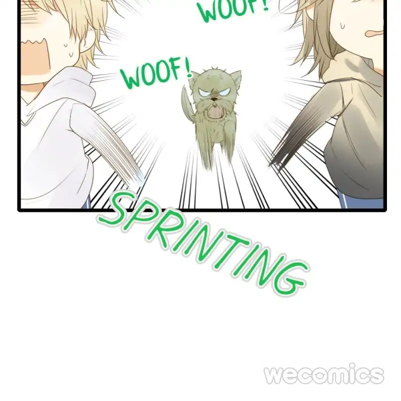 Let's Have a Baby Dragon Chapter 34 page 14 - Chapter 34