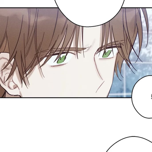 Let's Hide My Little Brother Chapter 20 cover