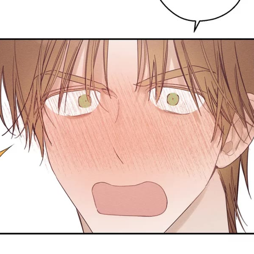 Let's Hide My Little Brother Chapter 47 cover