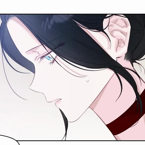 Let's Hide My Little Brother Chapter 66 cover