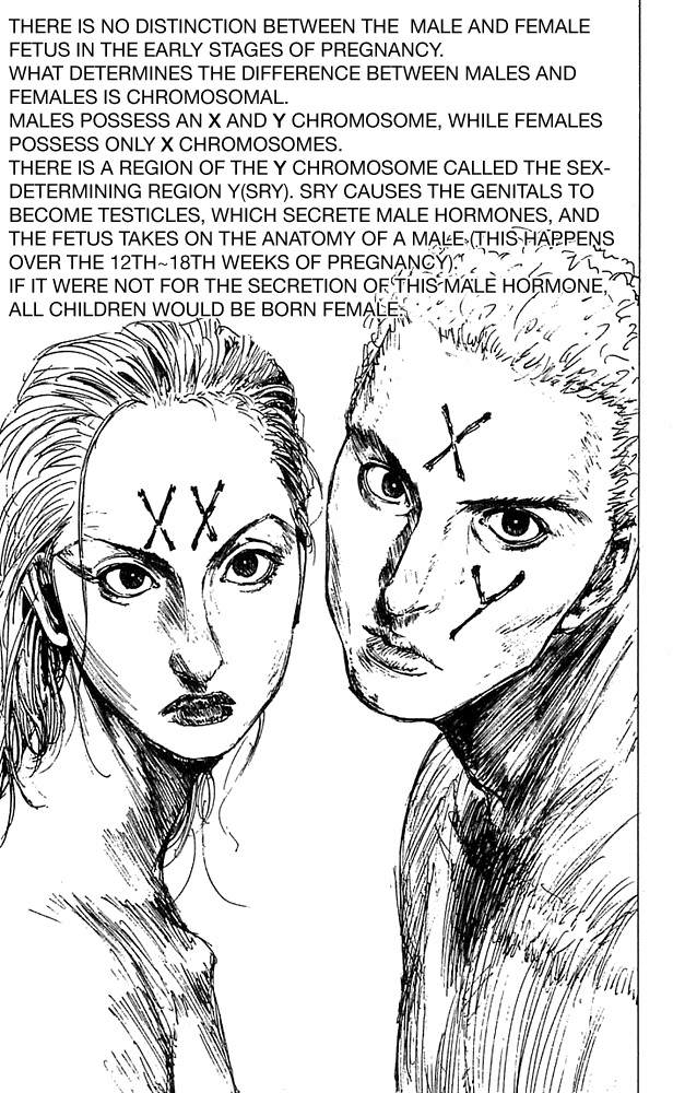 Level E Chapter 11 page 26 - Chapter 11 v2 : Love me tender