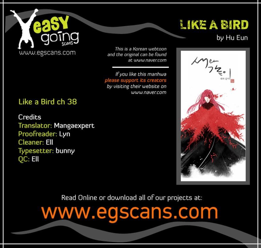 Like a Bird Chapter 38 page 33 - Chapter 38
