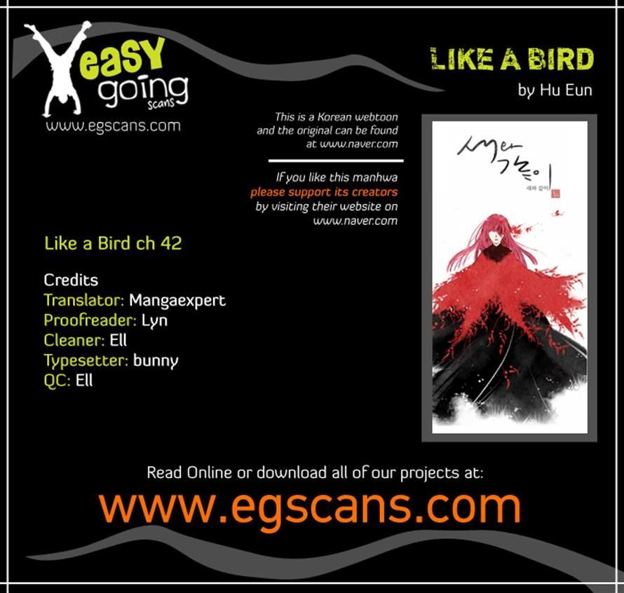 Like a Bird Chapter 42 page 33 - Chapter 42