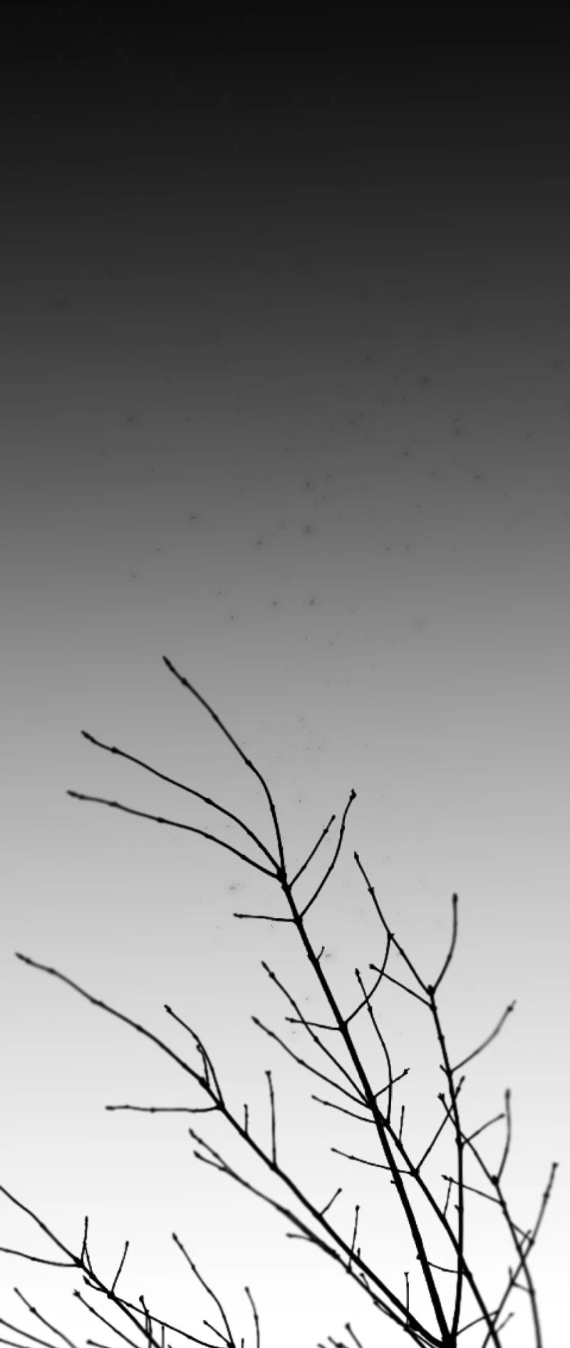 Like Wind on a Dry Branch Chapter 157 page 74 - Chapter 157: Ep. 155 - Loss Retrieved