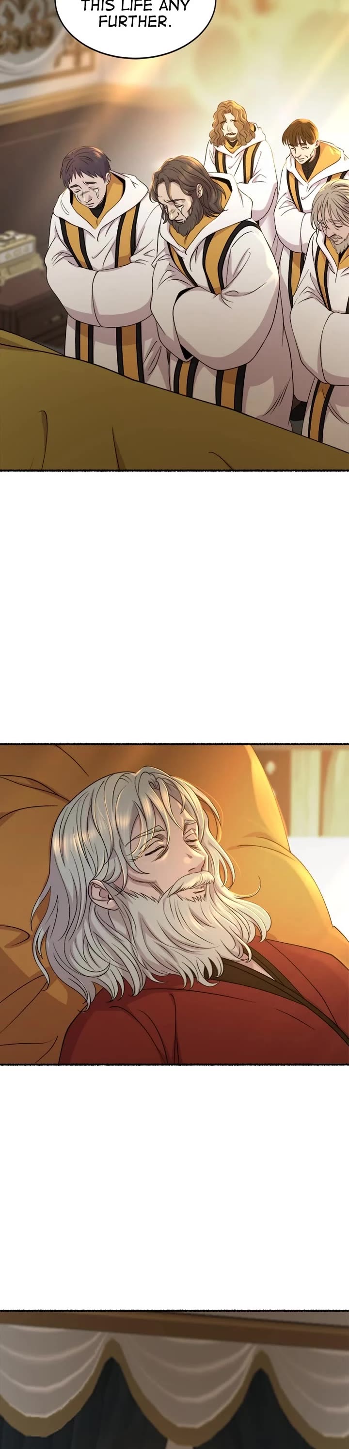 Like Wind on a Dry Branch Chapter 215 page 19 - Chapter 215: Ep. 213 - That Which Glimmers Brightly (2)