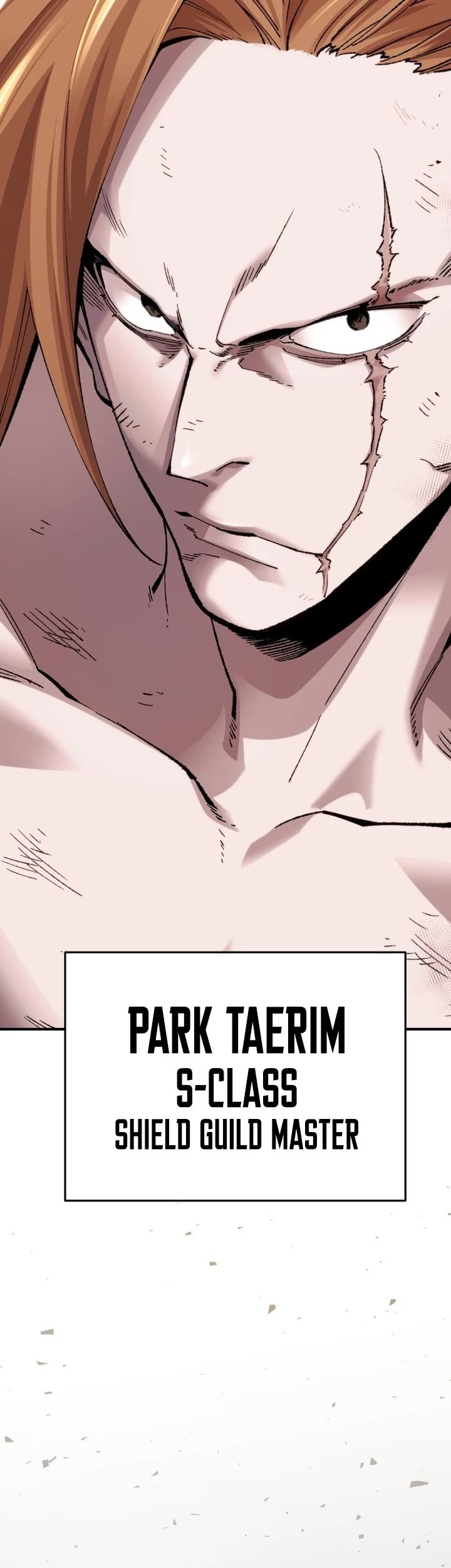 Limit Breaker Chapter 81 page 14 - Chapter 81: Bongsoon (1)