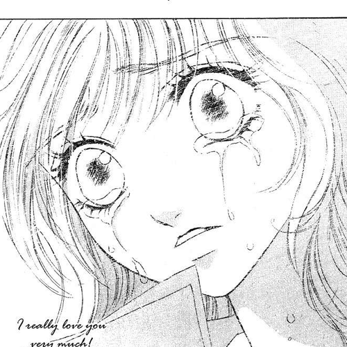 Limited Lovers Chapter 15 cover