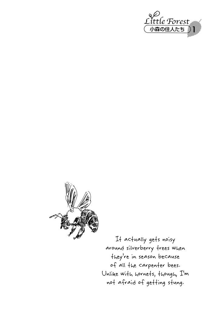 Little Forest Chapter 1 page 15 - Chapter 1 : 1st Dish - Silverberry