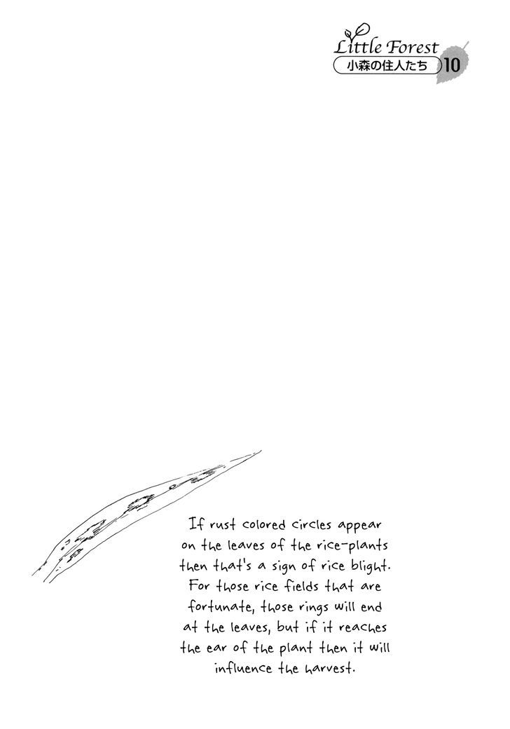 Little Forest Chapter 10 page 10 - Chapter 10