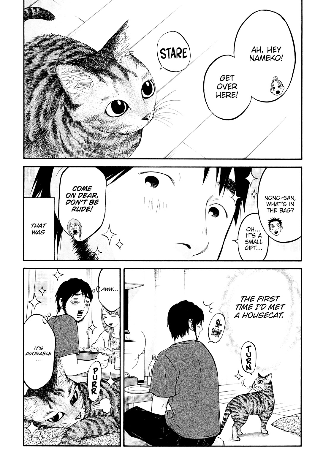 Living, Eating and Sleeping Together Chapter 22 page 5 - Chapter 22: Non-chan Wants a Cat