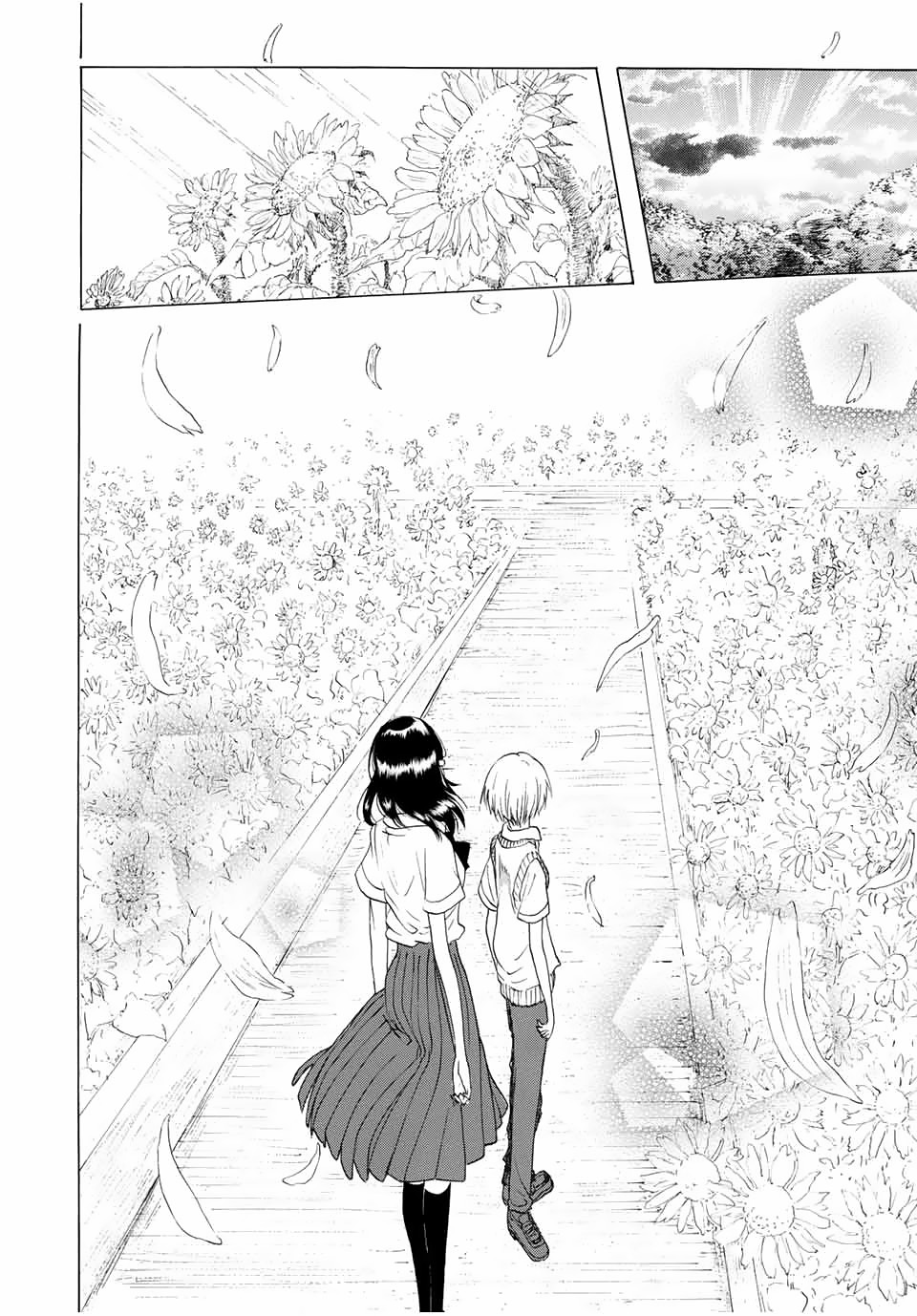 Looking Up to You Chapter 9 page 12 - Chapter 9: Blooming in the Sun
