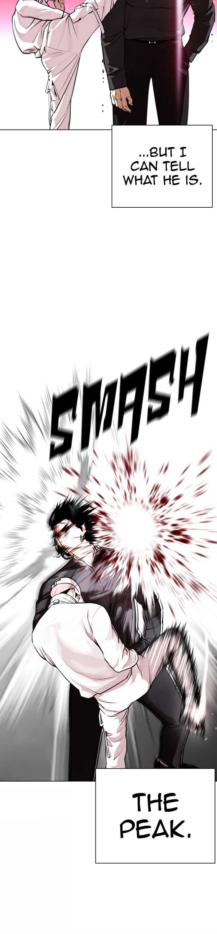 Lookism Chapter 367 page 25 - Chapter 367: Ep. 367: One Night (8)